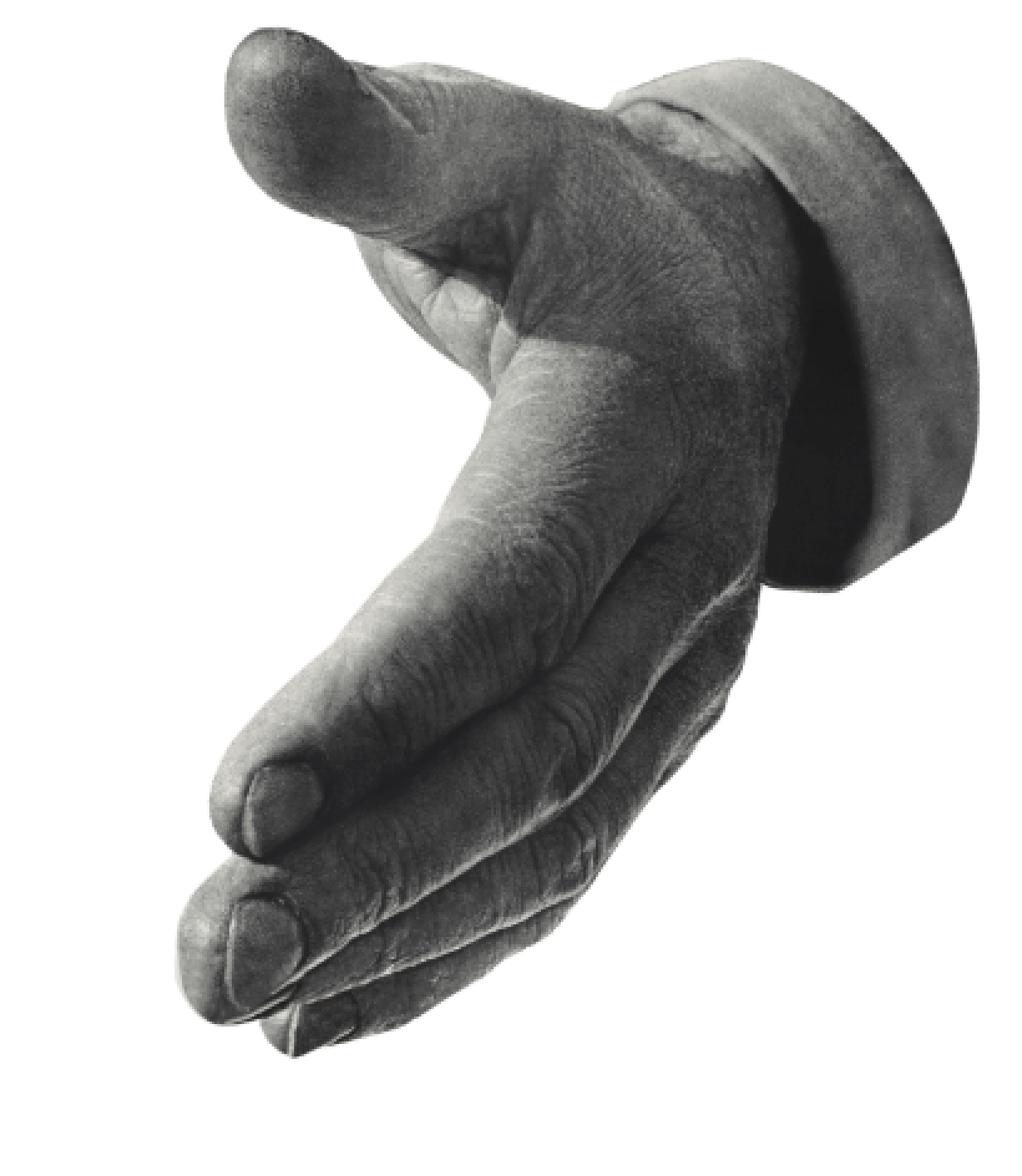 A black and white image of a person's hand