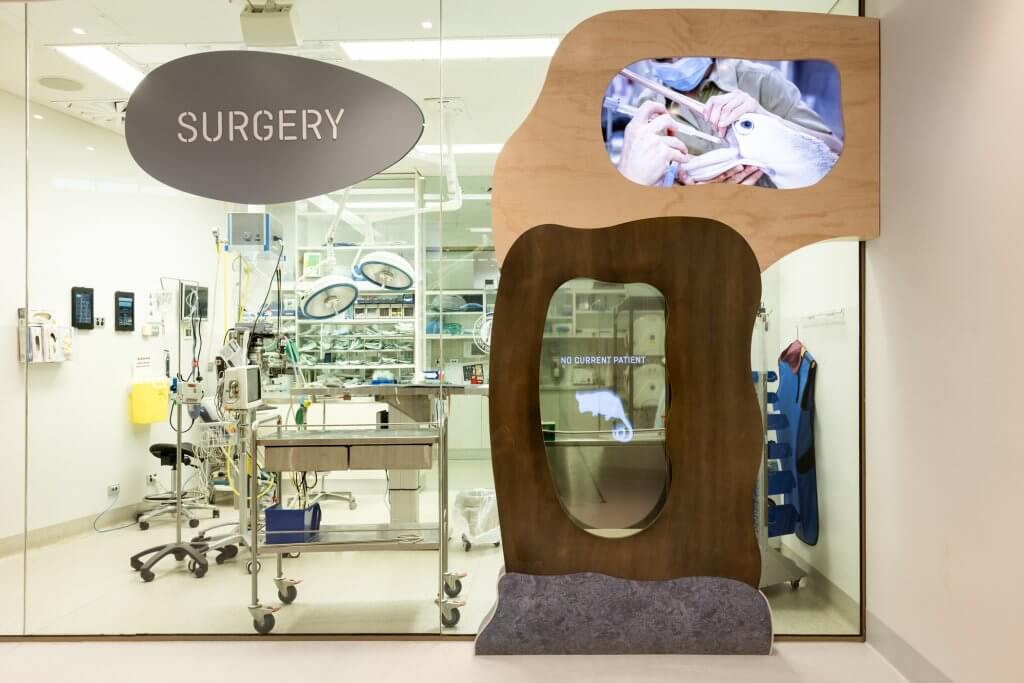 Surgery room of the Healesvile Sanctuary. A sign over the glass door says "Surgery". The transparent LED screen in front of the room lets the viewer know there is currently no patient in the room.