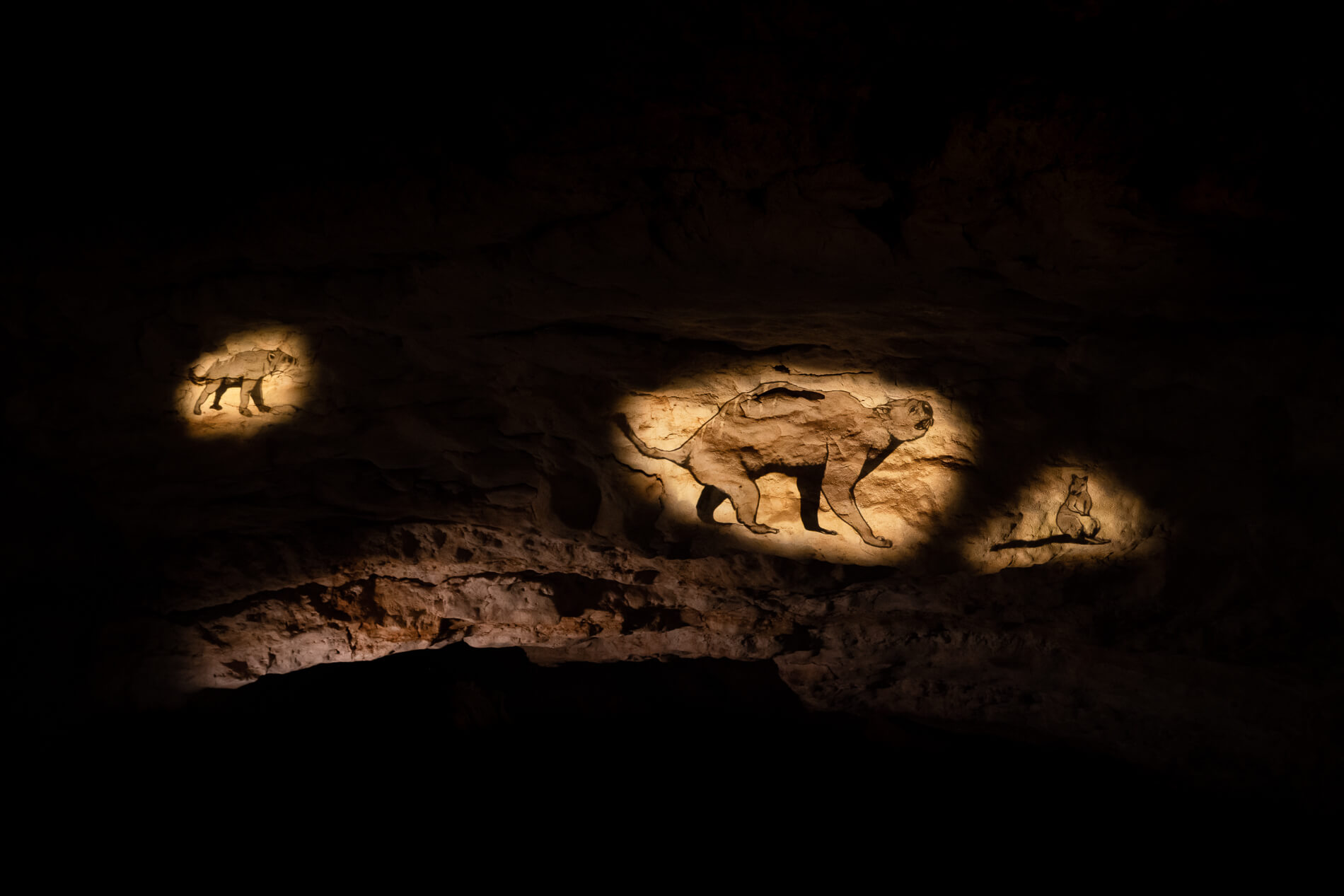 Naracoorte Caves