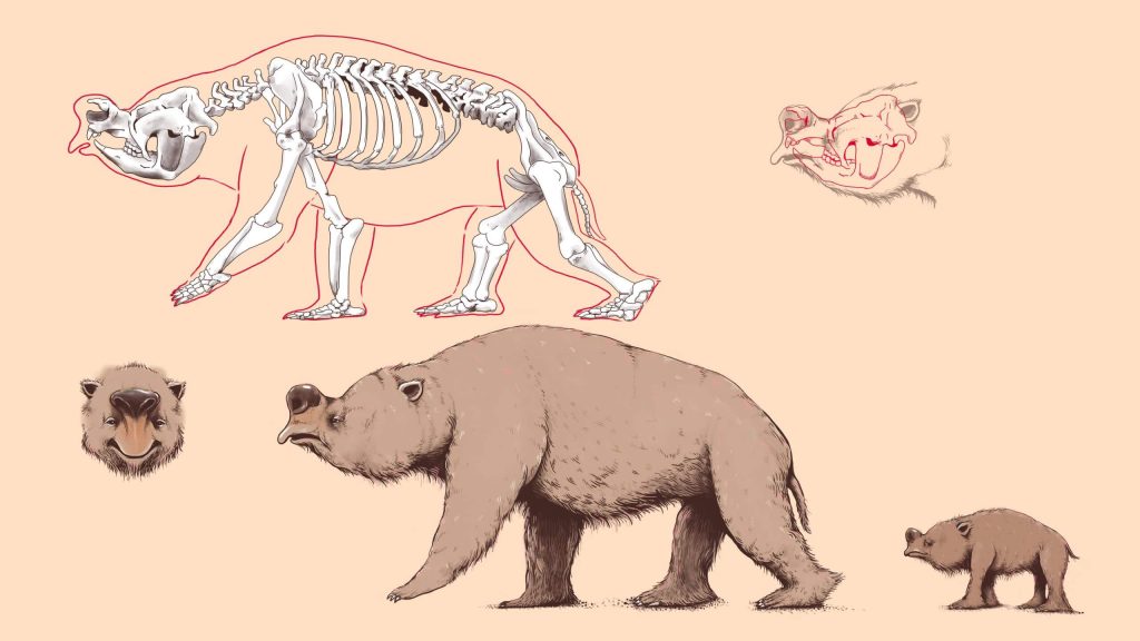 Work-in-progress illustrations of megafauna